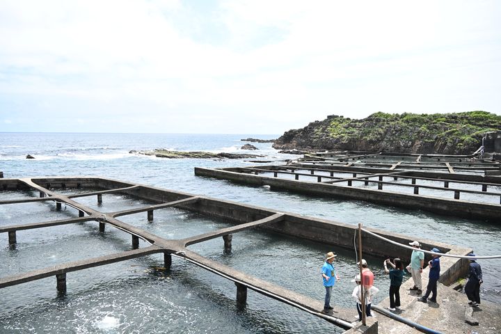 從九孔池走向地方活化 返鄉十餘年的李勝興用一生守住貢寮的海洋未來