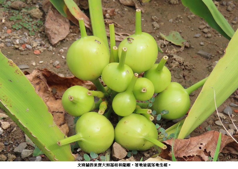 news_photo_2