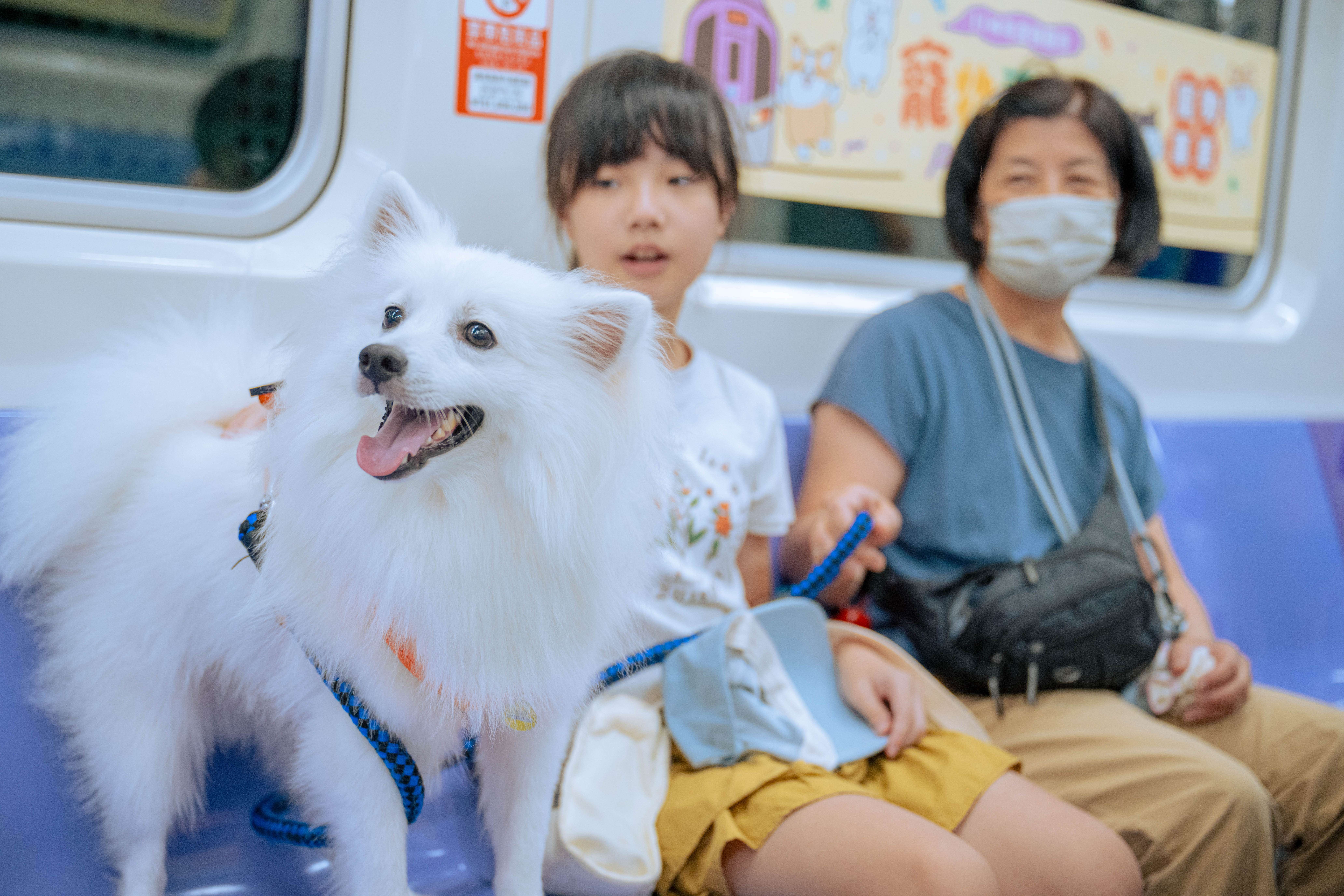 8月桶裝瓦斯凍漲 台灣中油:照顧全台家庭及餐飲業 348498 2