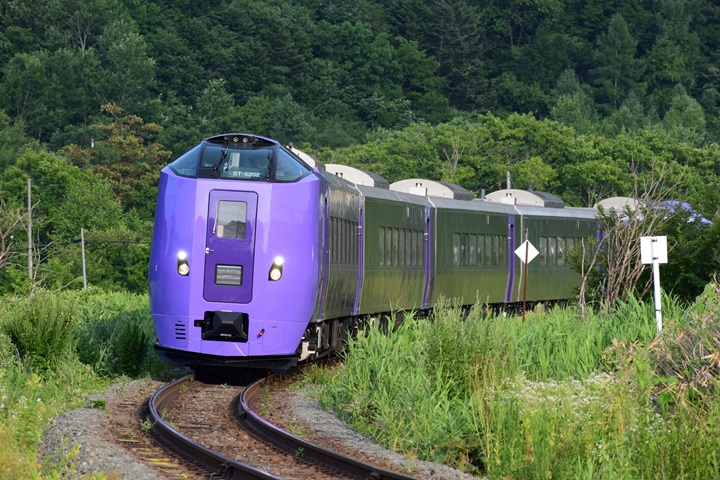 再見了!富良野・美瑛慢車號!今年最後一年行駛到9/23!