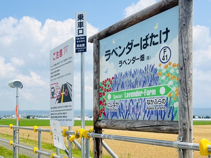 再見了!富良野・美瑛慢車號!今年最後一年行駛到9/23!