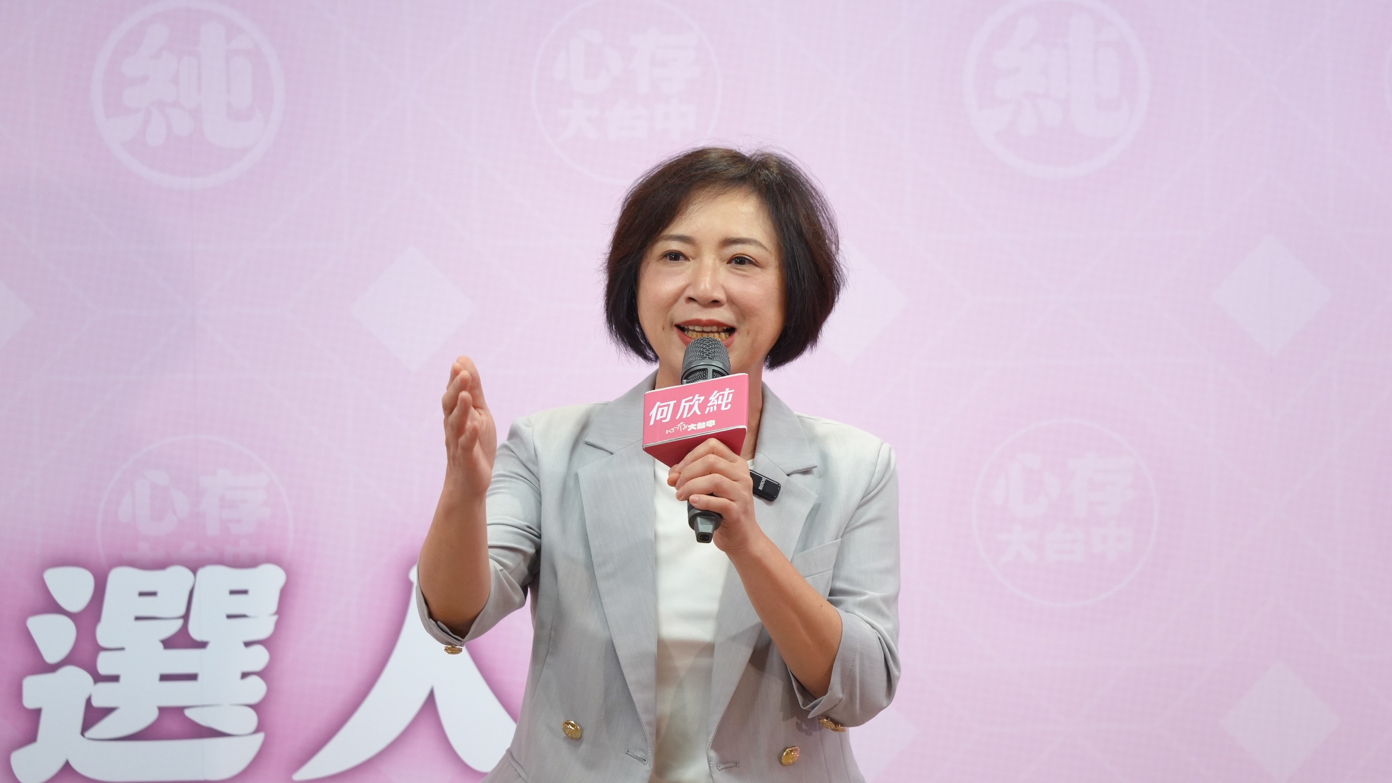 何欣純競委會正式成軍 蘇嘉全任總召、蔡其昌任副召集人力拚台中市長勝選