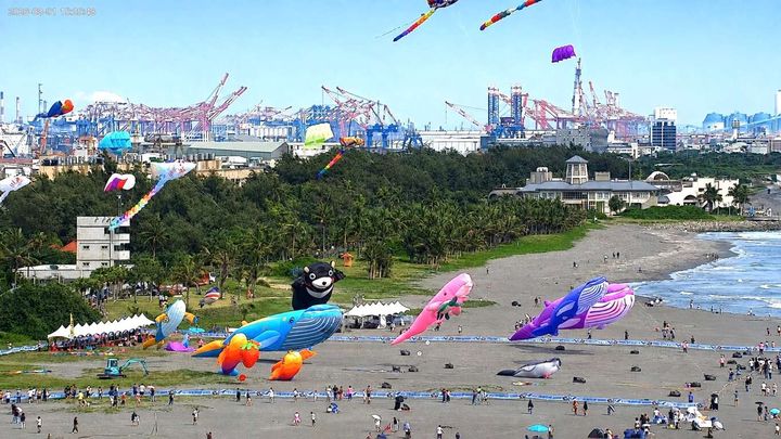 35公尺鯨魚風箏翱翔天空！「旗津風箏節」放飛 搭渡輪追風、從早玩到晚