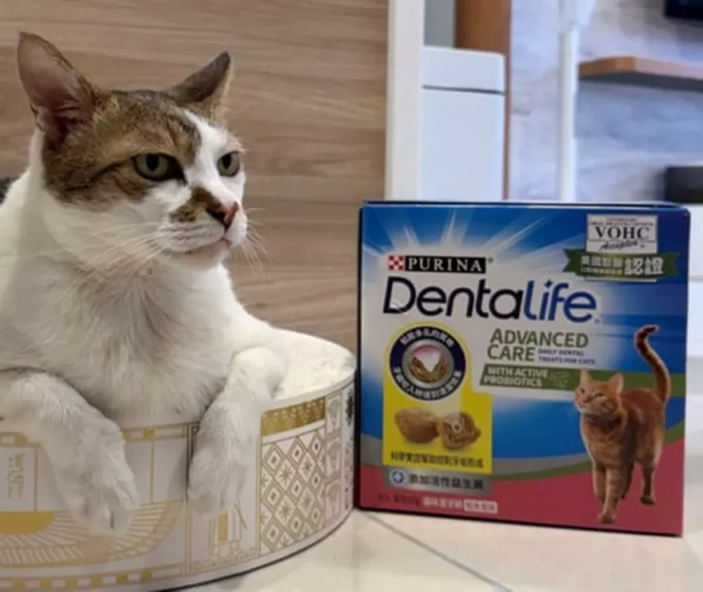 「普瑞納 DENTALIFE 貓咪潔牙餅」每顆僅 1.4 大卡,並添加活性益生菌、牛磺酸及鈣質