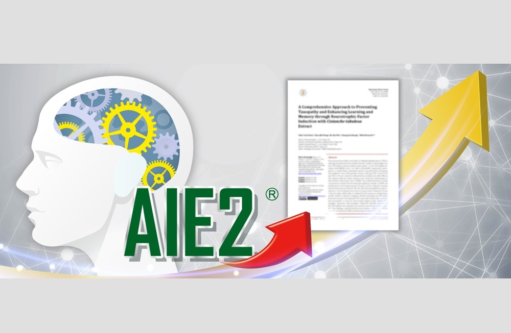 20年研究登上國際期刊 杏輝AIE2人體實驗證明6周顯著提升記憶表現 208 cnews204260806a08