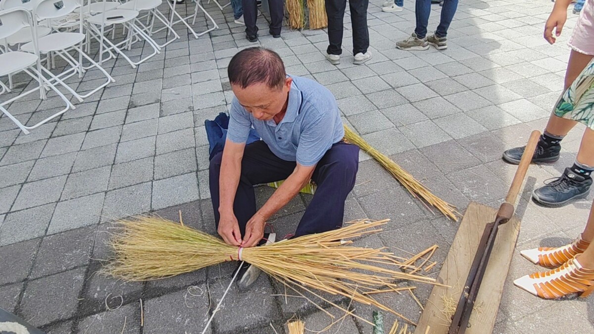 SQ08077 6福興西勢地膚草掃帚喊救援