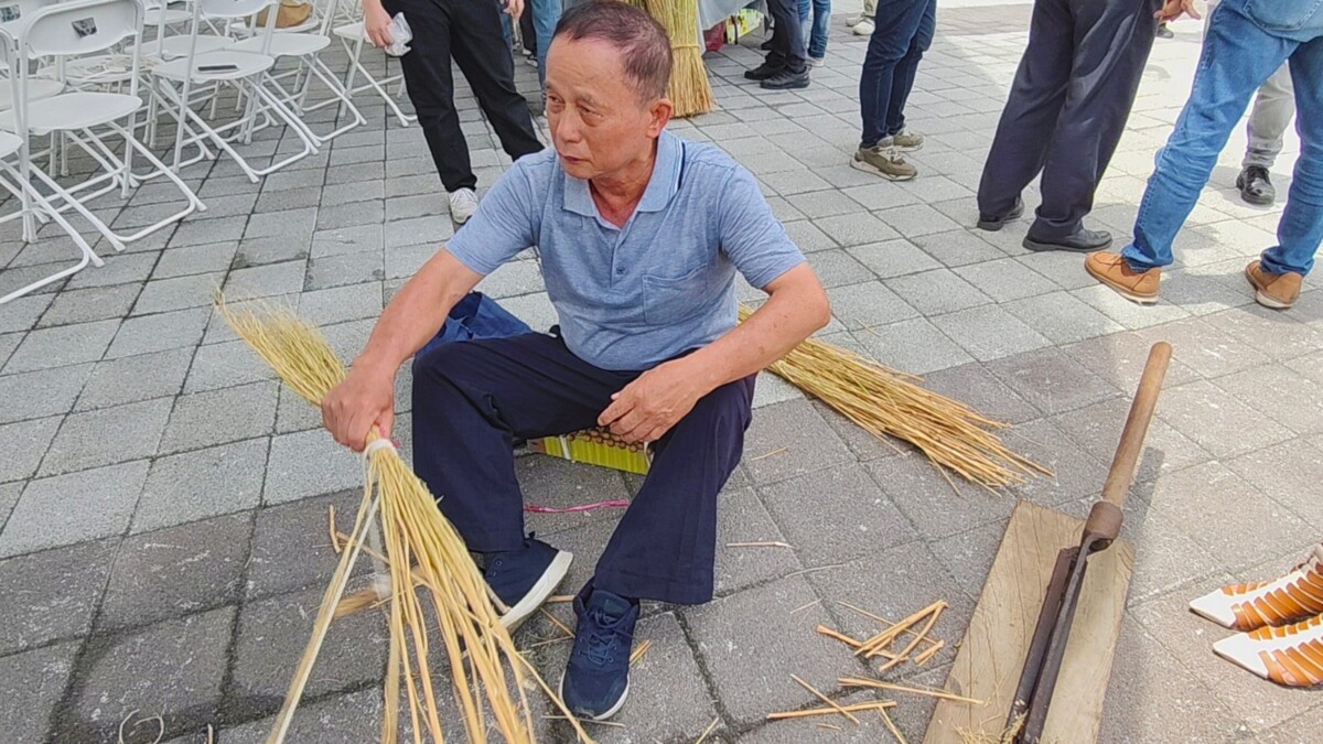 SQ08077 7福興西勢地膚草掃帚喊救援