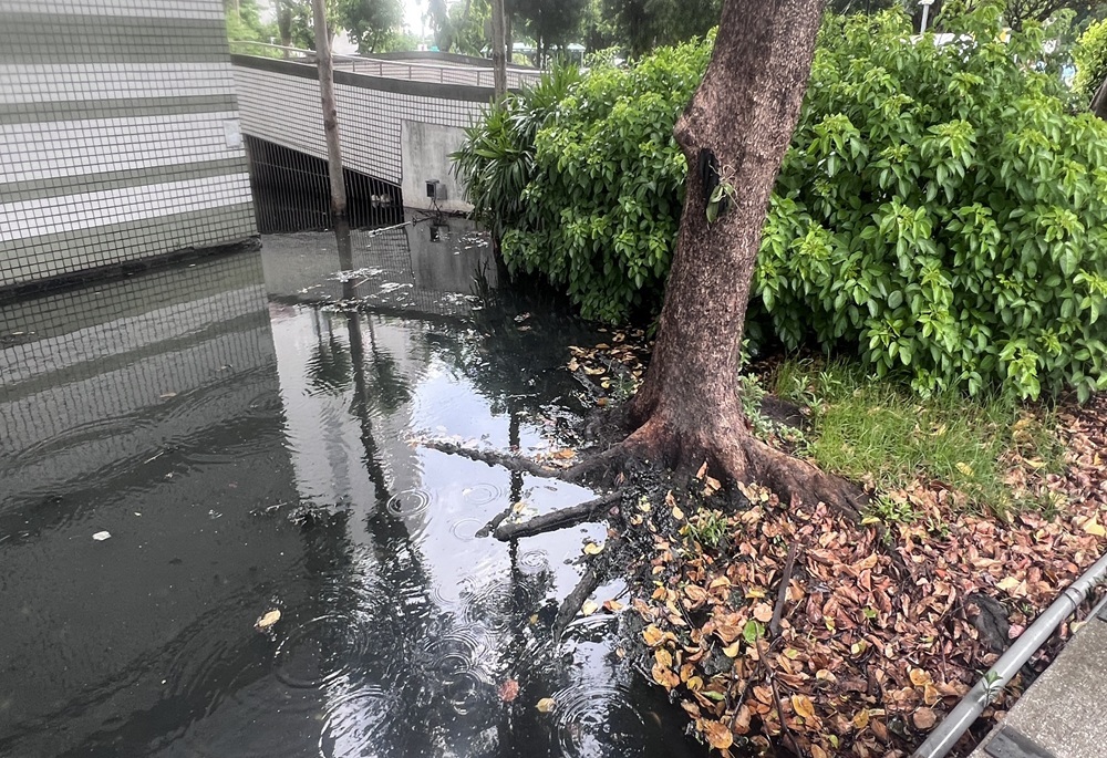 三重聯醫箱涵坍塌排水亮紅燈 李余典要求加速修復排除淹水隱憂 254 248260807a05