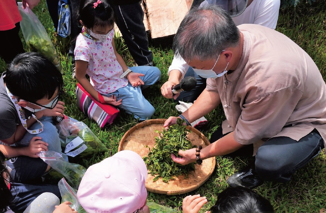 ▲8月9日將邀請樸園怡樂適茶莊製茶師-郭老師現場指導揉茶。(圖/記者顏淑娟翻攝)