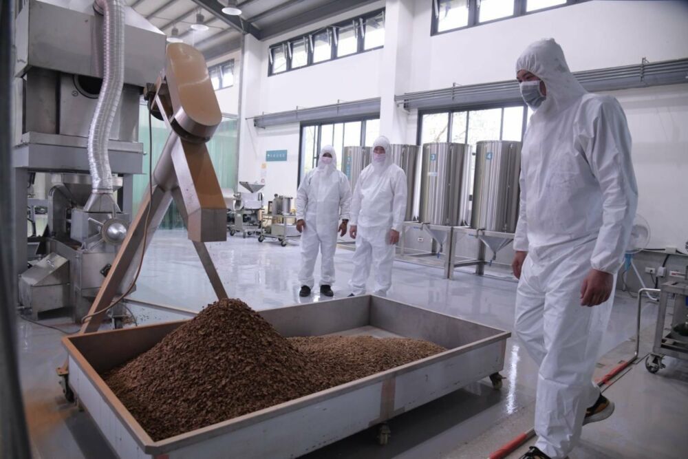 花蓮苦茶油強化食安 徐榛蔚宣布補助苯駢芘自主檢驗最高9成 206 花蓮苦茶油強化食安 徐榛蔚宣布補助苯駢芘自主檢驗最高9成 205