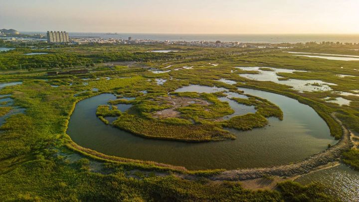 跟著海風去旅行！盛夏漫遊高雄「海線潮旅行」  五大主題遊程探索漁村魅力 