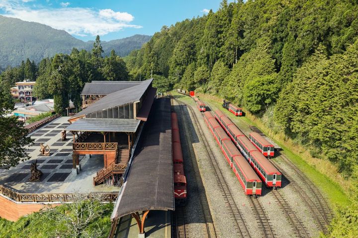 阿里山國家森林遊樂園區,以經典森林火車、日出、雲海等五奇曾榮獲《紐約時報》評選為全球必訪景點之一;2026年再度榮登「嘉義前十大人氣景點」第一名。 圖:阿里山賓館/提供