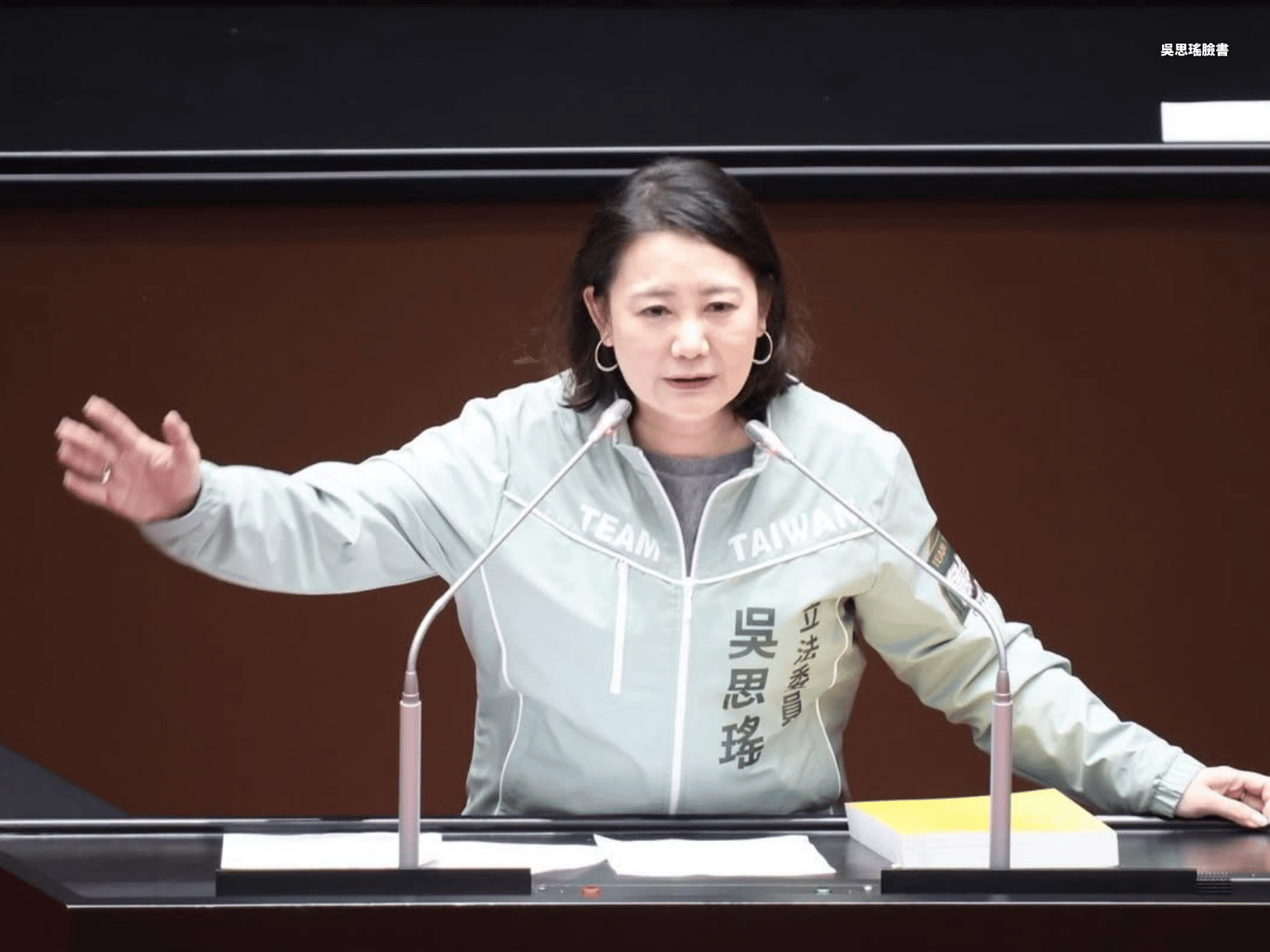 中共扶植愛國力量介選 吳思瑤痛批：叛國