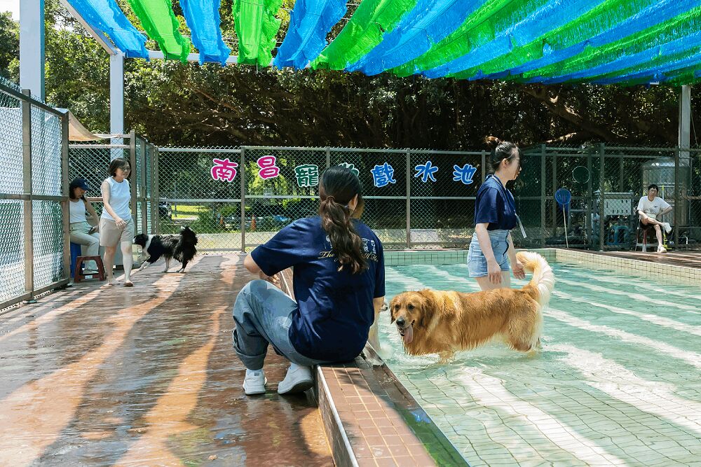 竹市友善動物設施再升級 高虹安拍板狗狗戲水池、納高齡犬復健 10 照片來源:新竹市政府