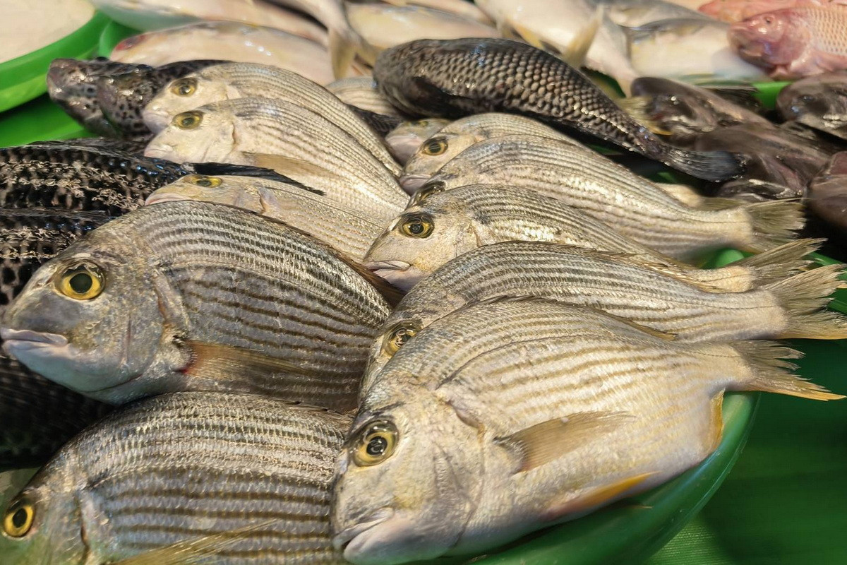 「2026海客漁鄉鱻有魚-食魚成藝.魚我同行」食魚教育活動,將在永安漁港觀光漁市生鮮區登場。