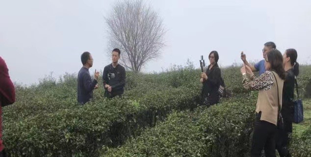 明山茶廠台二代茶農彭瑾瑜(左一) 和大家介紹茶文化。（記者楊國域翻攝）
