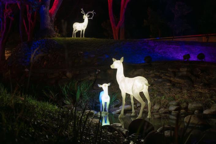 2025東興圳光藝節-林國瑋參展作品《SWEET NIGHT》。