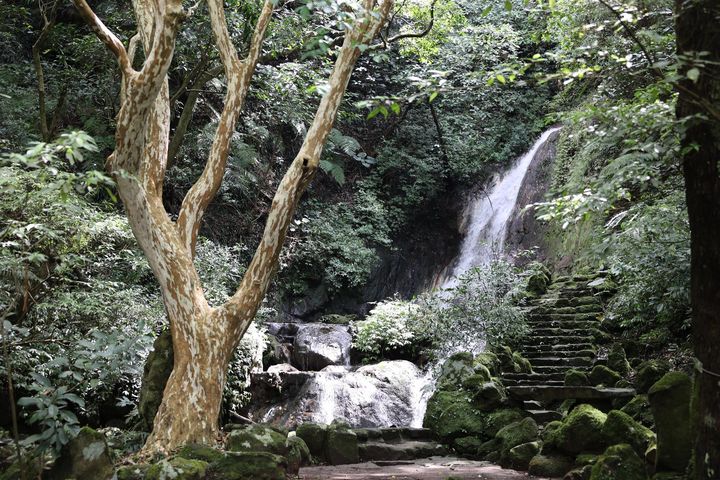 陽明公園「小隱潭瀑布」景致幽靜。 圖:臺北市政府工務局公園路燈工程管理處/來源