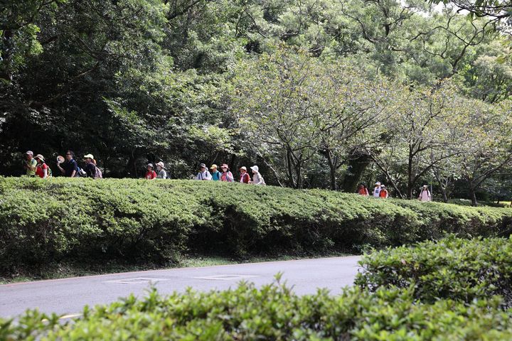 不費力!近郊小旅行 陽明山徒步指南