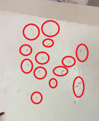 01a008e8 18e8 71cb b3f0 ac0bb9d0653d