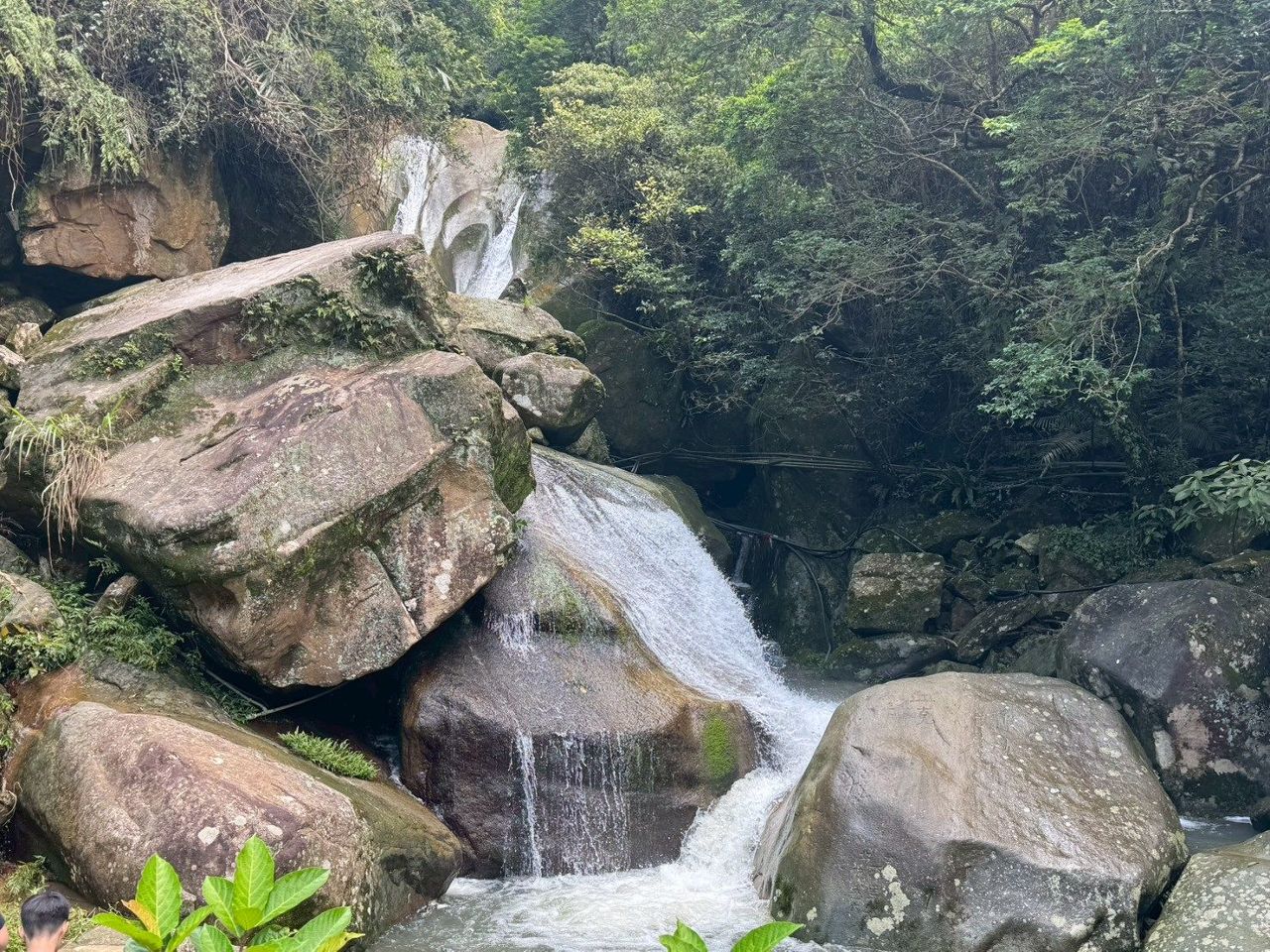 熱氣退散！　臺北3條親水步道帶孩子玩一趟森林小旅行