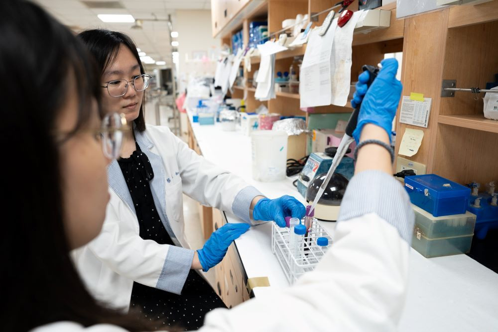 長庚大學先進的臨床試驗與生醫研發長期吸引歐美及亞洲頂尖學者與學生來台交流。(圖/長庚大學)