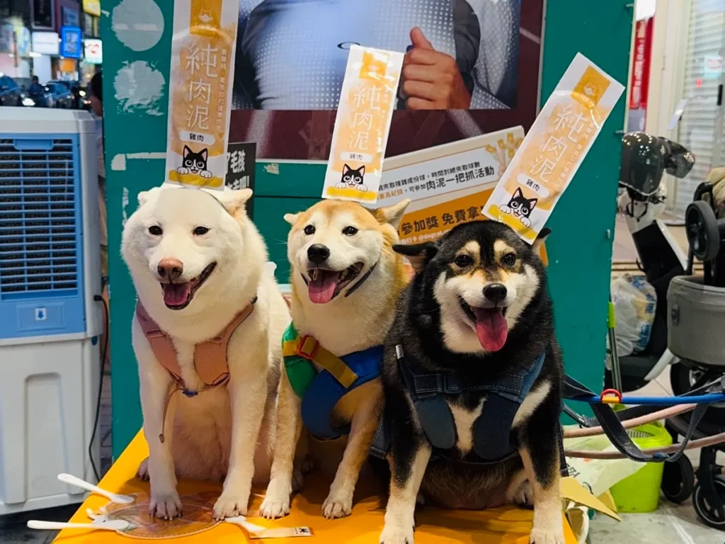 不少飼主帶著毛孩到場體驗活動,現場開心試吃汪喵星球純肉泥,也成為逢甲夜市的可愛焦點。(汪喵星球/提供)