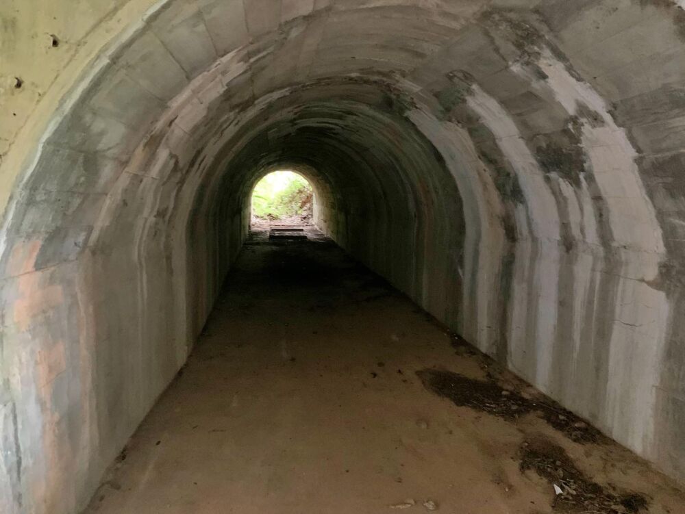 花蓮美崙山、四八高地具歷史意義　魏嘉賢籲縣府盤點深化文化觀光 209