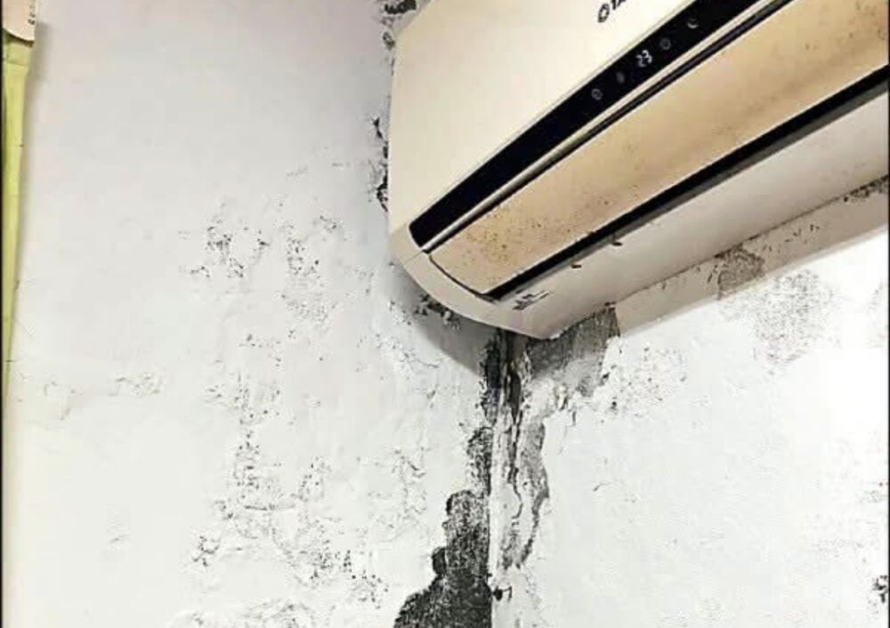 教師工會反映偏鄉住宿問題 張峻向花蓮教育處提3要求籲開學前改善 202 教師工會反映偏鄉住宿問題 張峻向花蓮教育處提3要求籲開學前改善 201