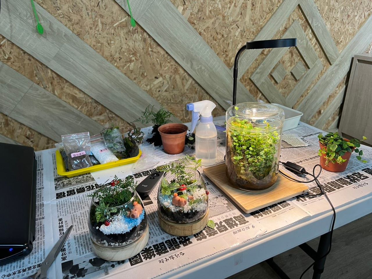 一只玻璃瓶就是一座小森林 花蓮DIY生態瓶探索土地永續