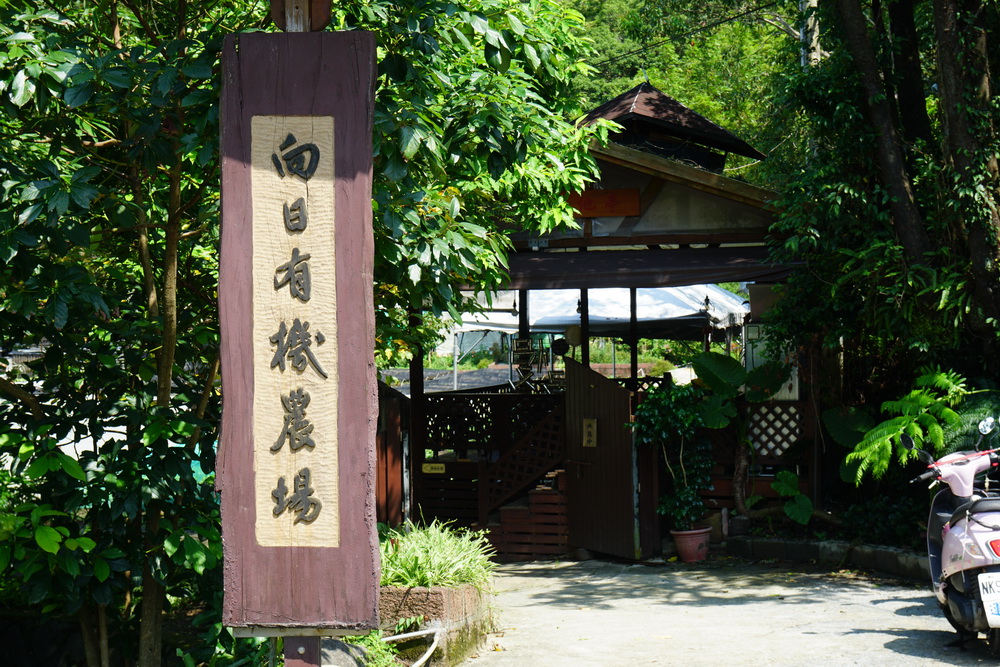 【有影】【向日更生2-1】陪伴重生 士檢、更保攜手向日農場推動戒癮治癮 260 【有影】【向日更生2-1】陪伴重生 士檢、更保攜手向日農場推動戒癮治癮 259