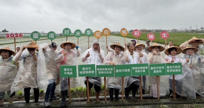 臺南好米季插秧活動開跑