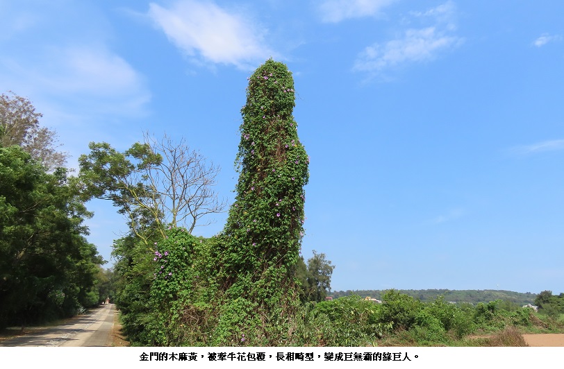news_photo_1