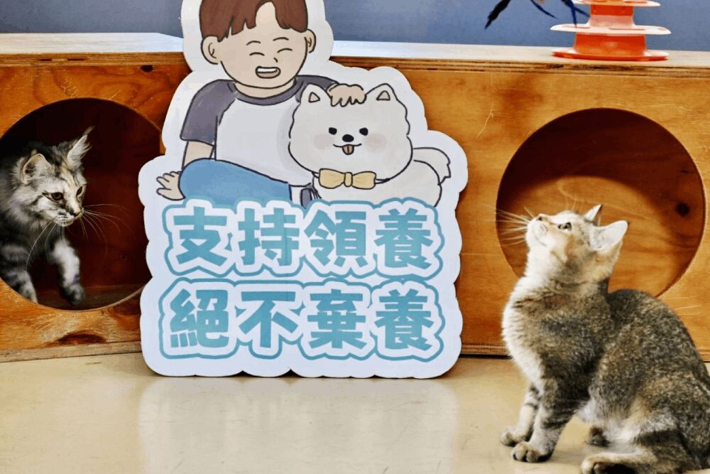 照片來源：新竹市政府