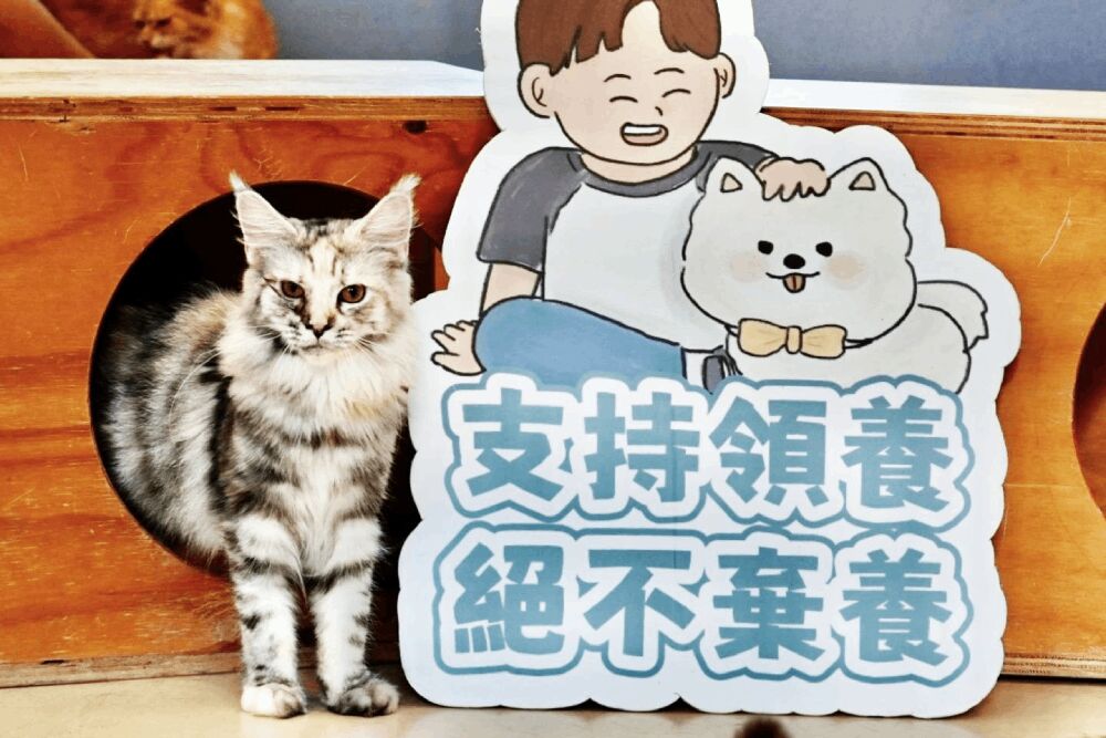 照片來源：新竹市政府