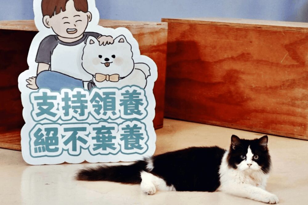 照片來源：新竹市政府