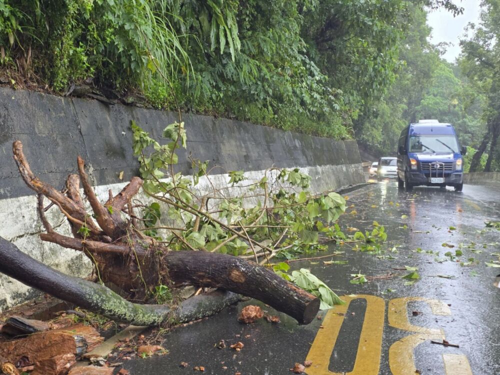 強降雨襲擊　游淑貞啟動防災應變全面盤點淹水潛勢區 231