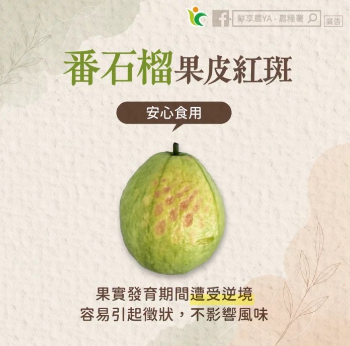 中原大學攜手印尼抗氣候健康風險 獲亞太永續行動獎肯定 1787645023853 0