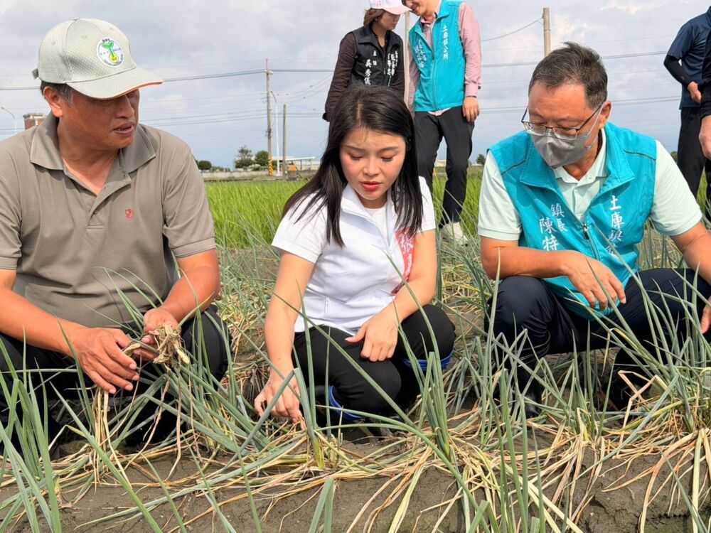 豪雨致雲林多地農損 張嘉郡勘災要求農業部速辦現金救助 206 豪雨致雲林多地農損 張嘉郡勘災要求農業部速辦現金救助 205