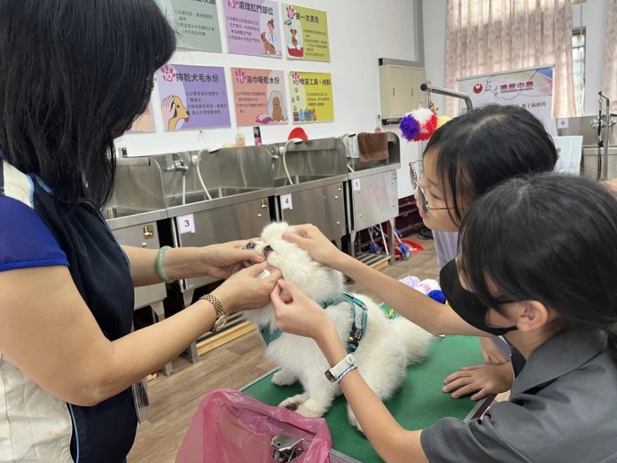 影音募集!150萬元總獎金等你拿 第7屆大和獎微電影徵選開跑 03 教師示範寵物面部與眼部清潔 0 0 result