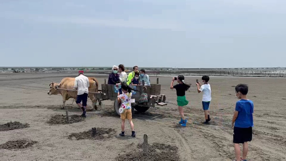 SQ08302 9海牛變鐵牛文化「舞」出來