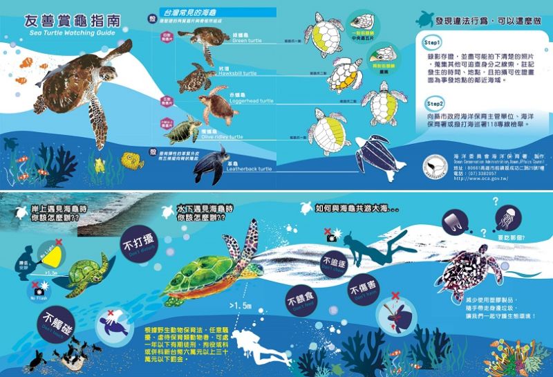 騷擾海洋保育類野生動物為違法行為 海保署呼籲:恪遵「5不原則」以免觸法受罰