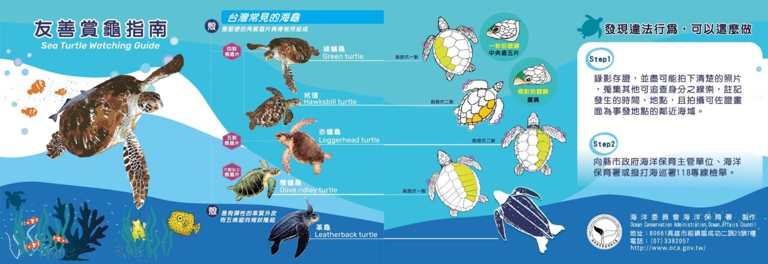 騷擾海洋保育類野生動物為違法行為 海保署呼籲:恪遵「5不原則」以免觸法受罰