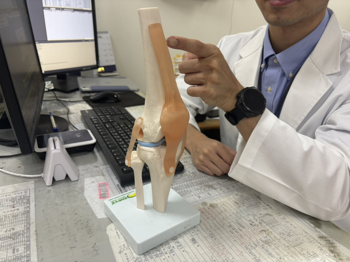 生長痛的疼痛部位主要集中在大腿前側、膝蓋後方或小腿肚。照片提供:樂生醫院<br /><br /> <br /><br />