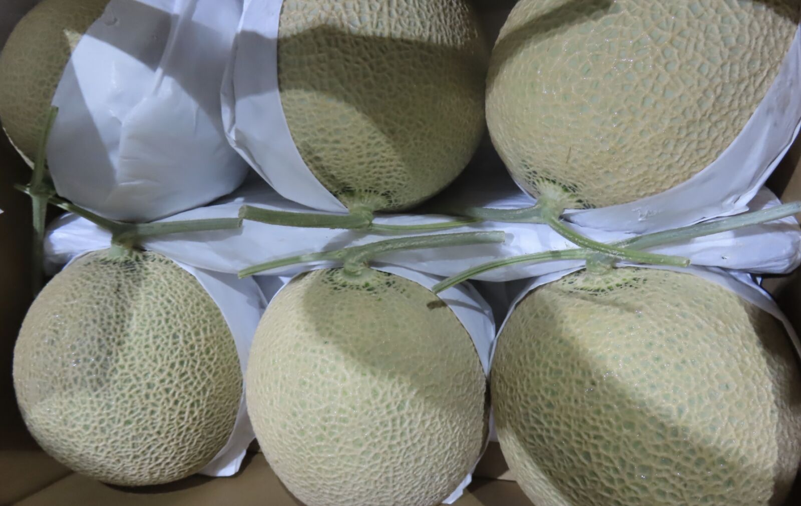 進口食品爆!4991公斤泰國必喝「燕窩即時飲」 食藥署逮違摻添加物 134 進口食品爆!4991公斤泰國必喝「燕窩即時飲」 食藥署逮違摻添加物 133