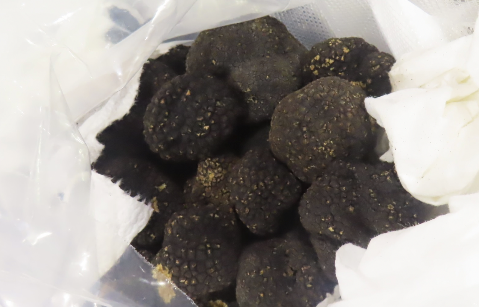 進口食品爆!4991公斤泰國必喝「燕窩即時飲」 食藥署逮違摻添加物 136 進口食品爆!4991公斤泰國必喝「燕窩即時飲」 食藥署逮違摻添加物 135