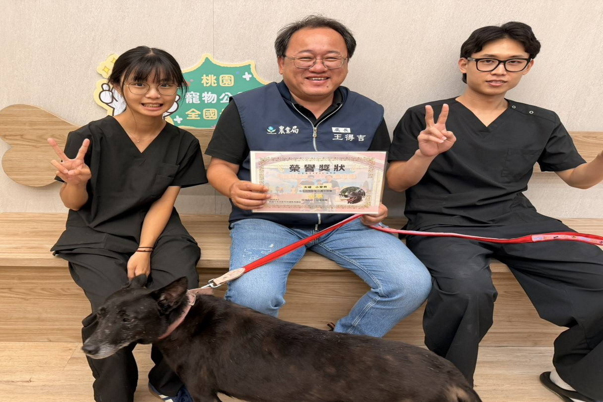 助7歲以上高齡毛孩找家,桃園市推出「老寶貝認養長照計畫」。<br /><br />