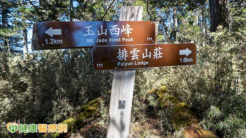 在台爬山沒事出國仍可能中招!醫揭高山症3類型 這些族群行前要注意