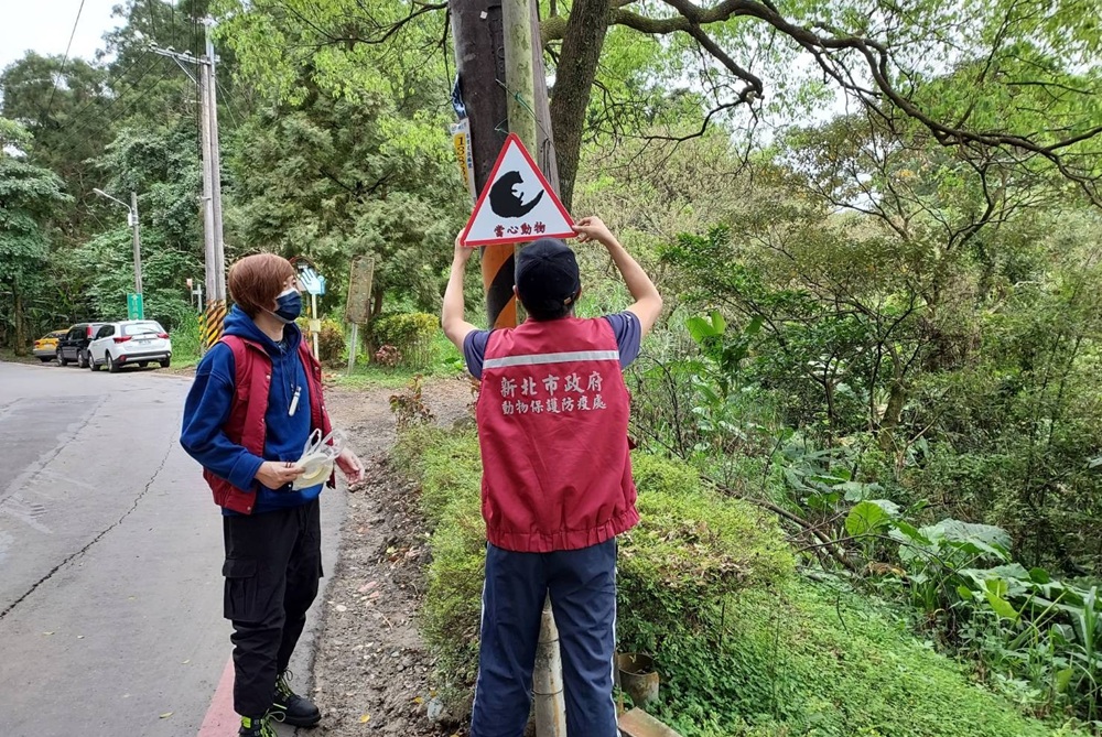 導航通報路殺熱點 新北攜手路殺社與導航王升級路況資訊 217 cnews204261005a03