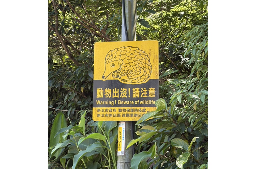 導航通報路殺熱點 新北攜手路殺社與導航王升級路況資訊 218 cnews204261005a04